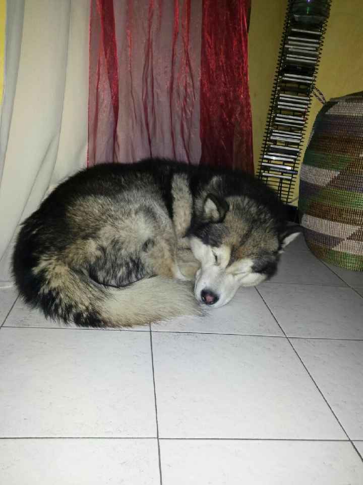 Regalo di san valentino anticipato - 3