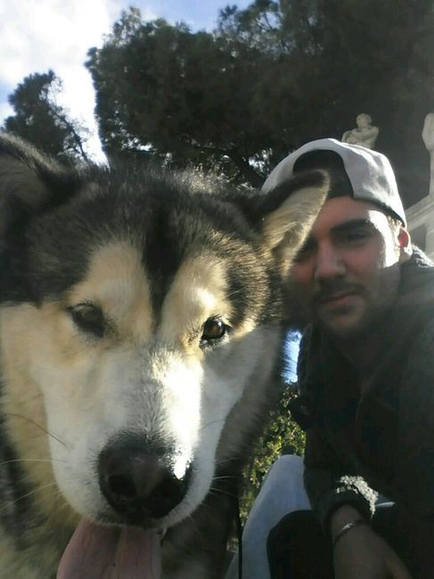 Too cute: i vostri amici animali - 4