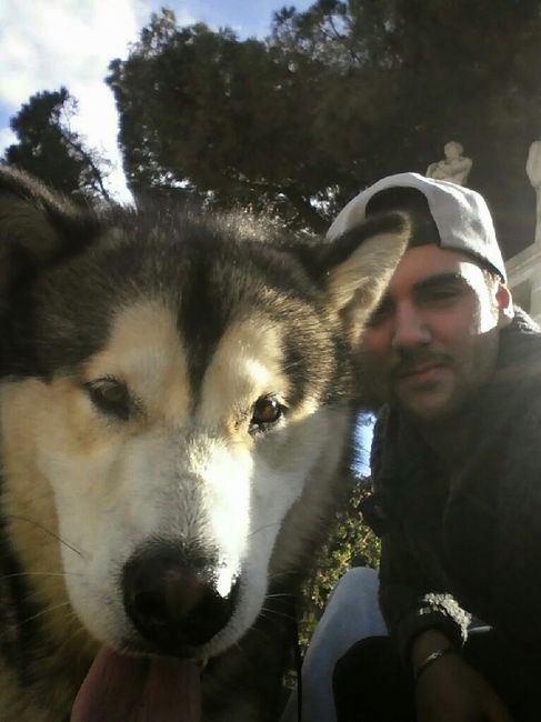 Animaletti pelosi. - 1