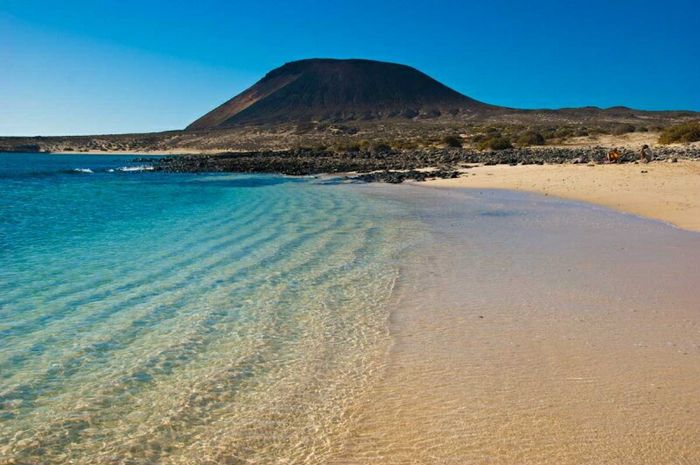 Canarie😍 - 2