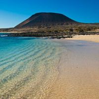  Canarie😍 - 2