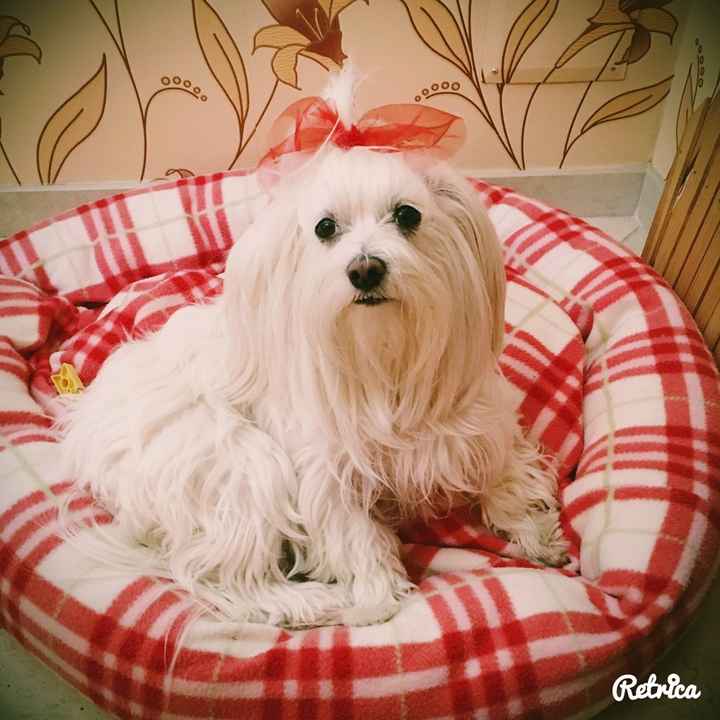 La nuova arrivata ?? - 1