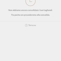 Tagliando concessi ma non convalidati help me - 2