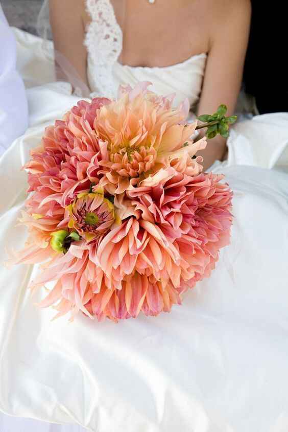 Tema mare corallo - 3