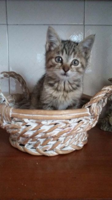 Il nostro primo anniversario - 3