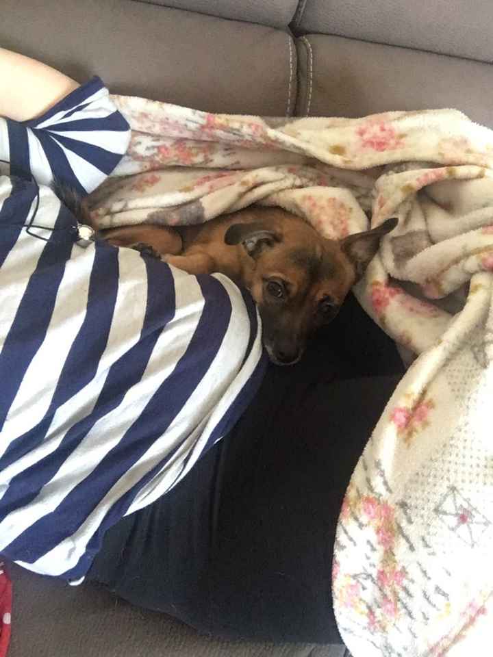 Benvenuto secondo mese *.* - 1