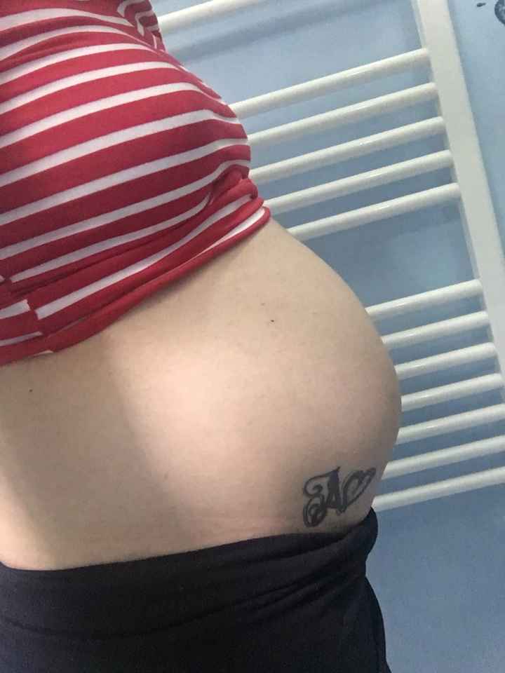 Allora sei una signorina o un signorino ? - 1