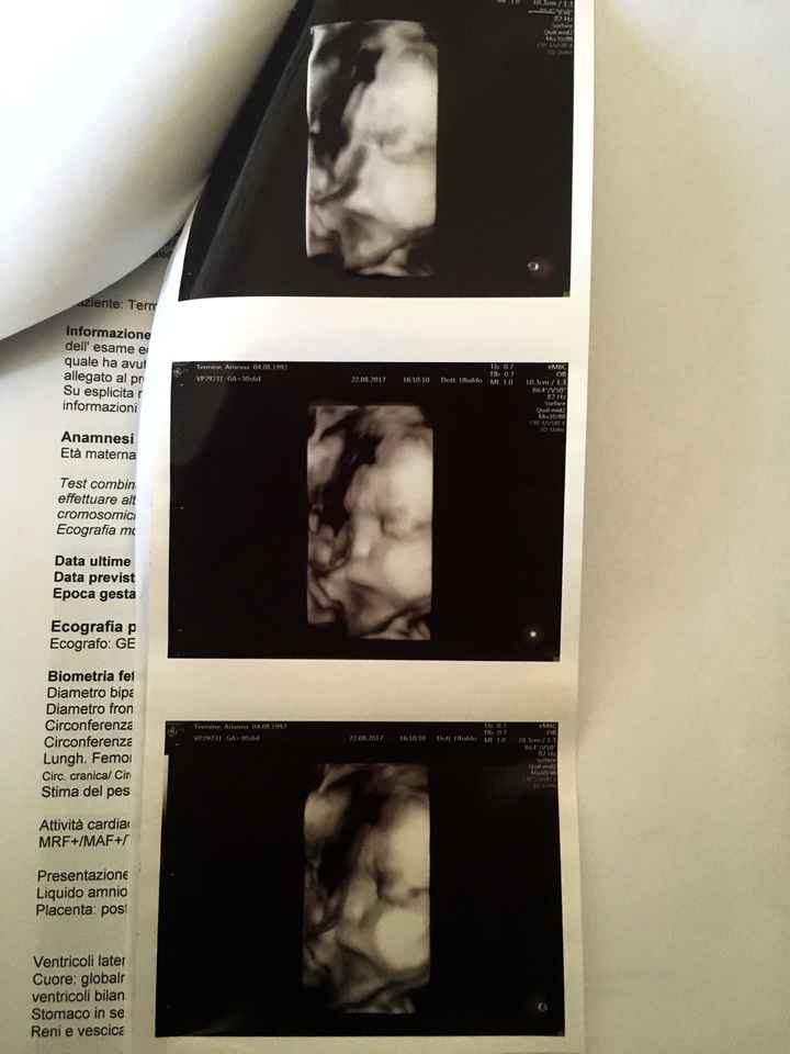 Ecco la nostra piccola sara 😊😊finalmente si è fatta vedere 🙂 - 1