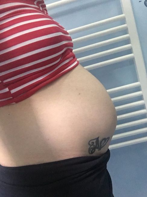 Allora sei una signorina o un signorino ? - 1