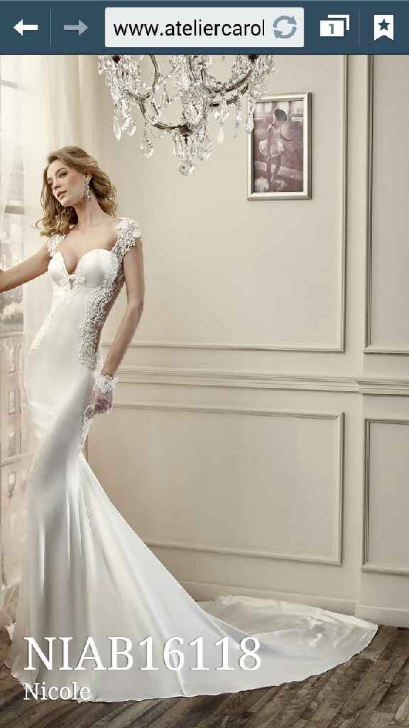 Preoccupazione per l'abito - 1