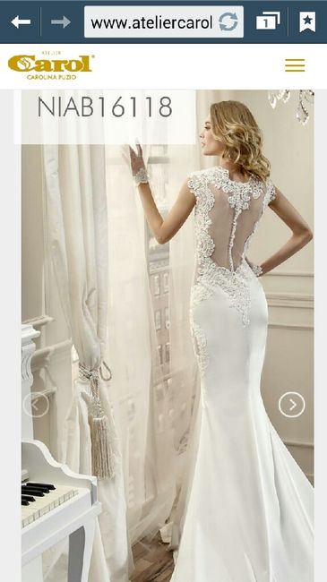 Preoccupazione per l'abito - 2