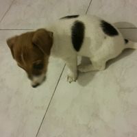 Stupendo regalo da parte di mia suocera - 1