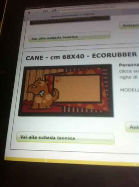 Zerbino quale scegliere help - 2