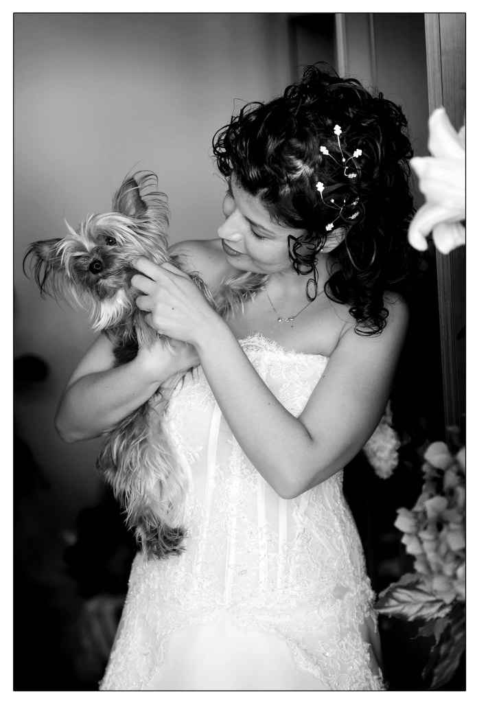 Felicissima foto  - 2