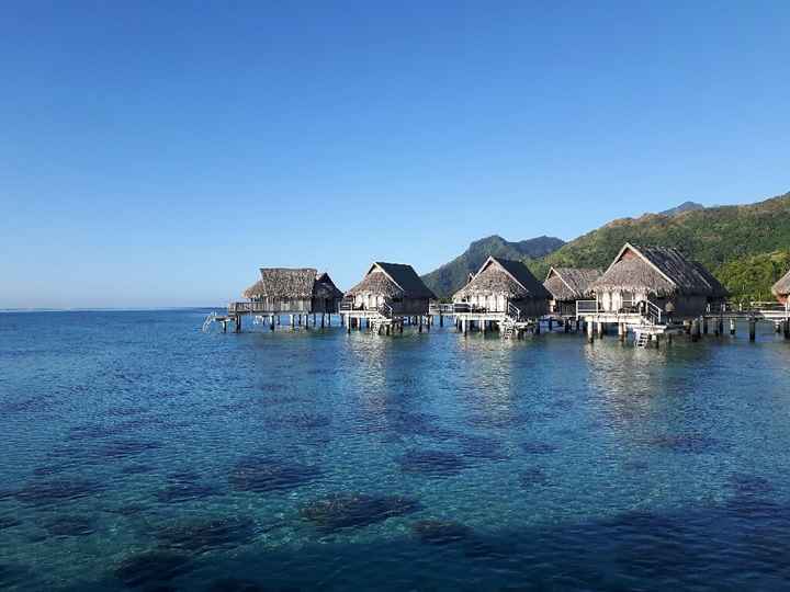 Viaggio di nozze in paradiso - 1