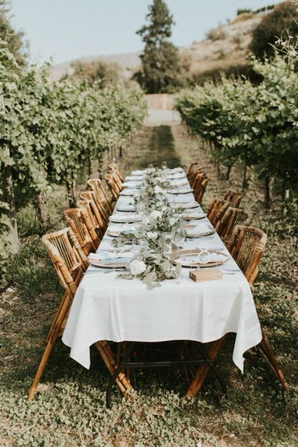 Matrimonio tema vino - 1