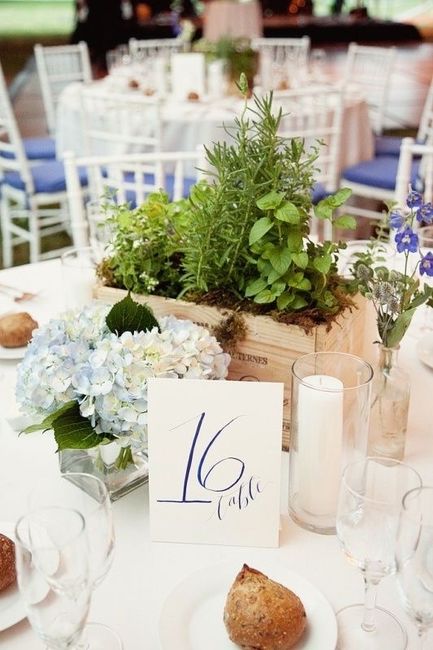 Centrotavola piante aromatiche - 3