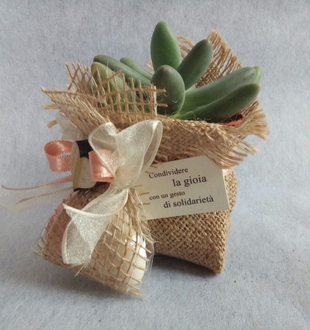 Bomboniera piantine grasse - 1