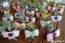 Bomboniera piantine grasse - 2