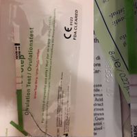 Quelli di ieri sera e quello di oggi ovulazione - 1