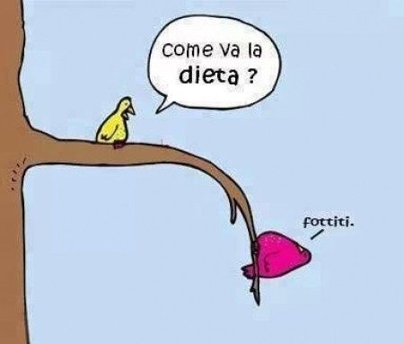 dieta