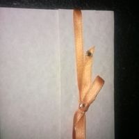 l'esterno della partecipazione