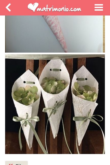 I vostri coni portariso - 1