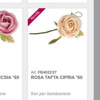 Partecipazioni.. secondo voi posso farcela? - 1