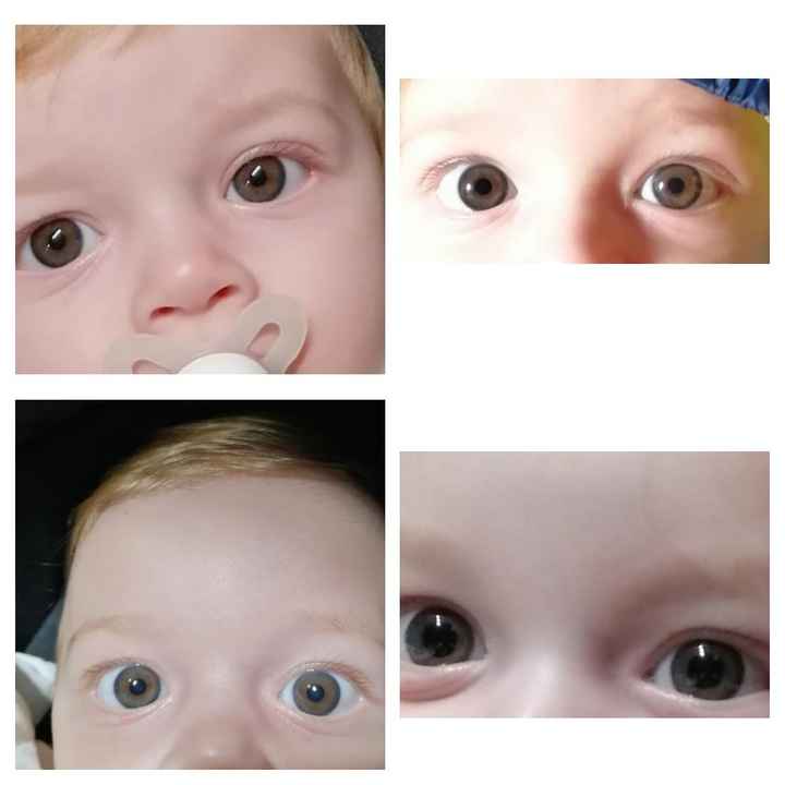 Colore occhi neonato: azzurri o castani? Esperienze cercasi!!!! 7
