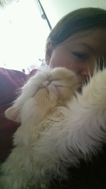 Le foto dei vostri animali - 2