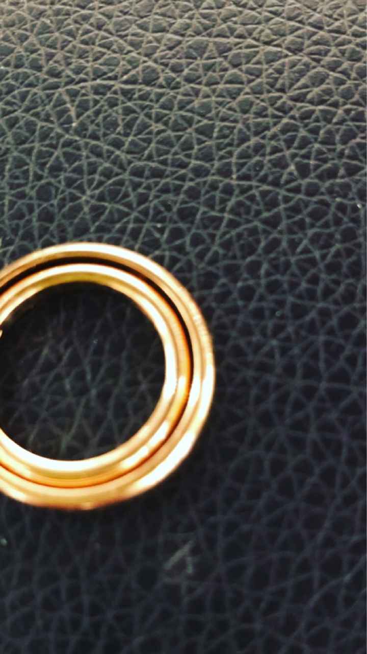 Fedi - 1