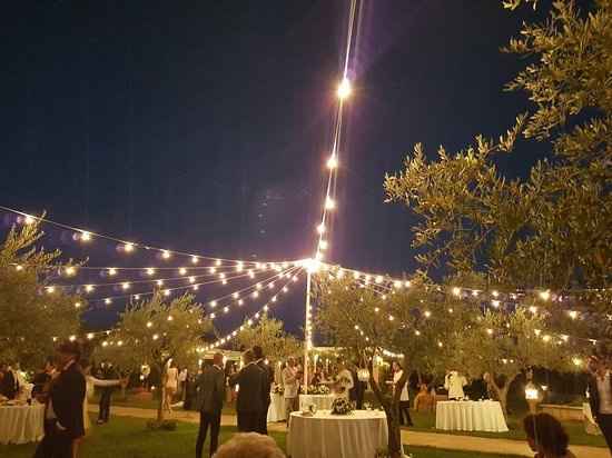 Ansia Coronavirus - 3