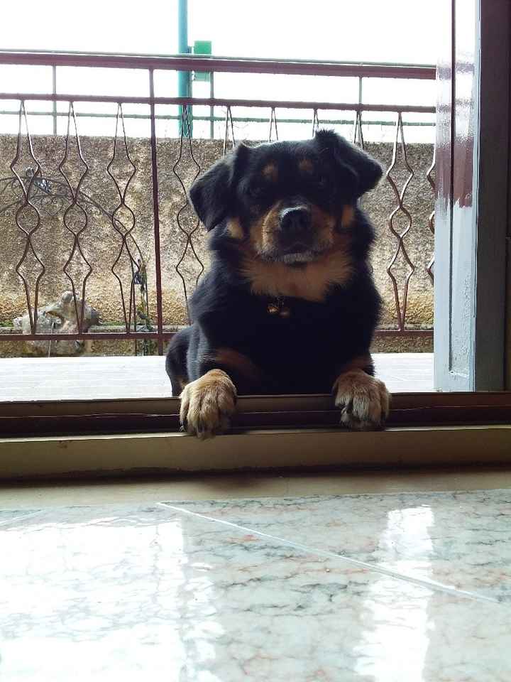 Collaboratori pelosi ❤️ - 1