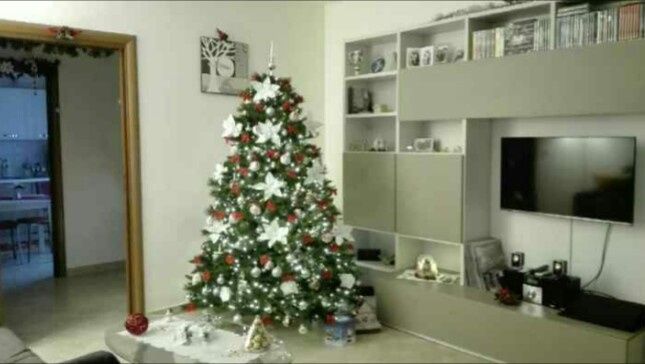 Primo Albero di Natale - 2