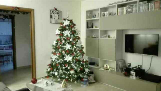 Primo Albero di Natale - 2