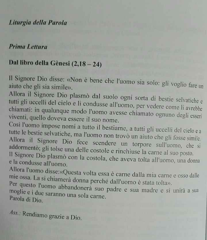 Curiosità: che letture avete scelto? - 1