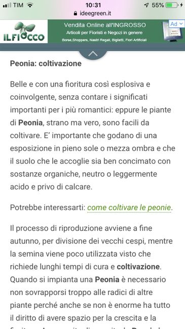 Segnaposto con semi di fiori 3