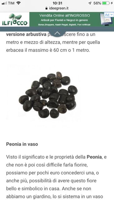 Segnaposto con semi di fiori 4