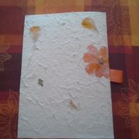 Retro partecipazioni