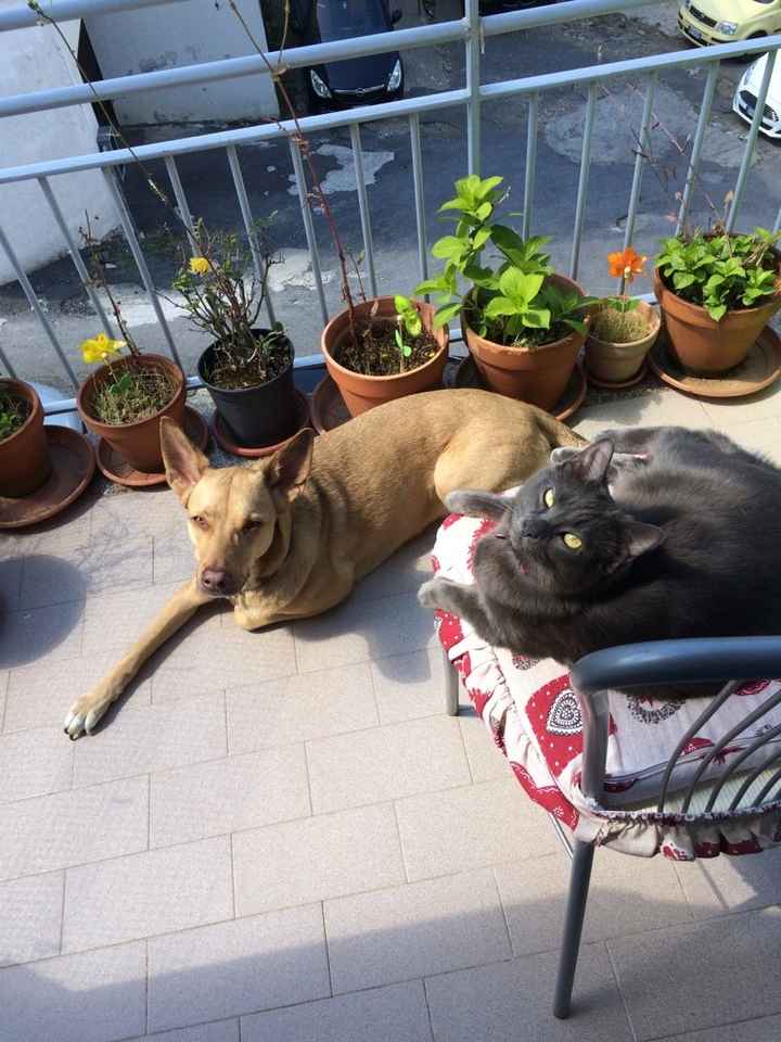 Il nostro piccolino - 1