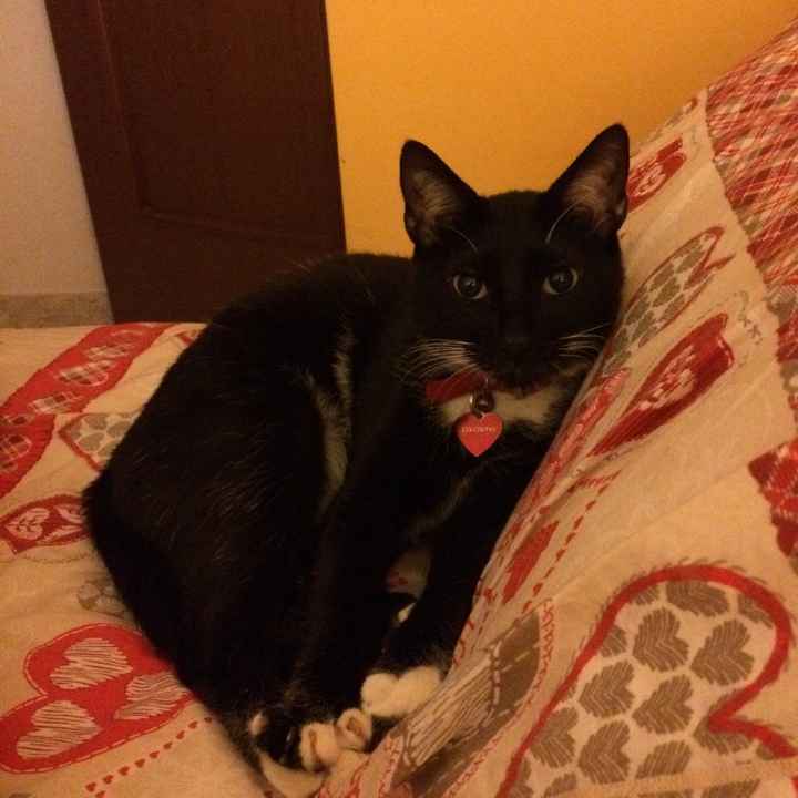 Il nostro piccolino - 2