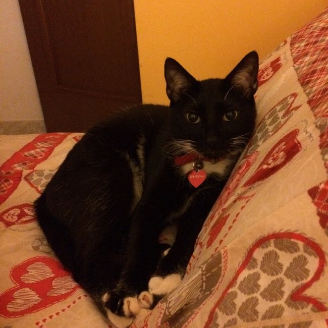 Il nostro piccolino - 2