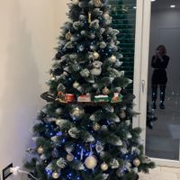 Avete mai fatto l'albero insieme? - 1