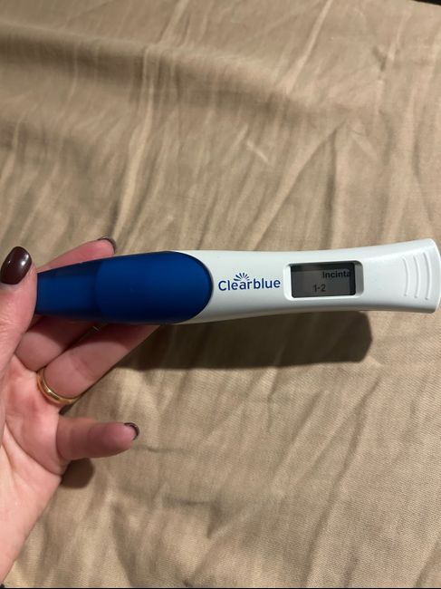 Chi non le aspetta per Dicembre 2023 😬🎁🎄❄️ - 1