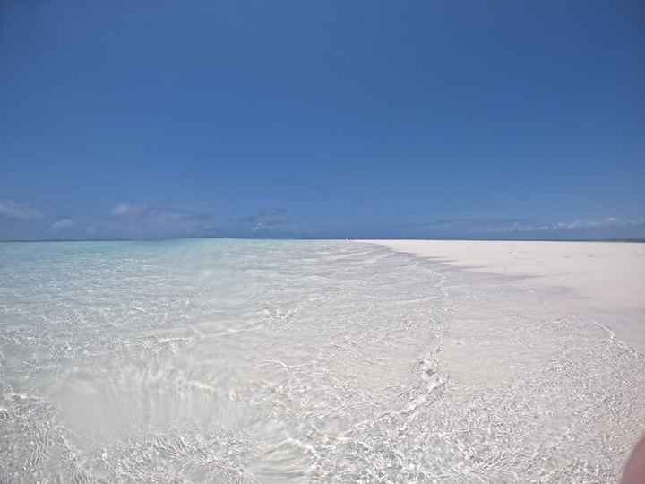 Viaggio in Kenya consigli sia per Safari che per mare - 1