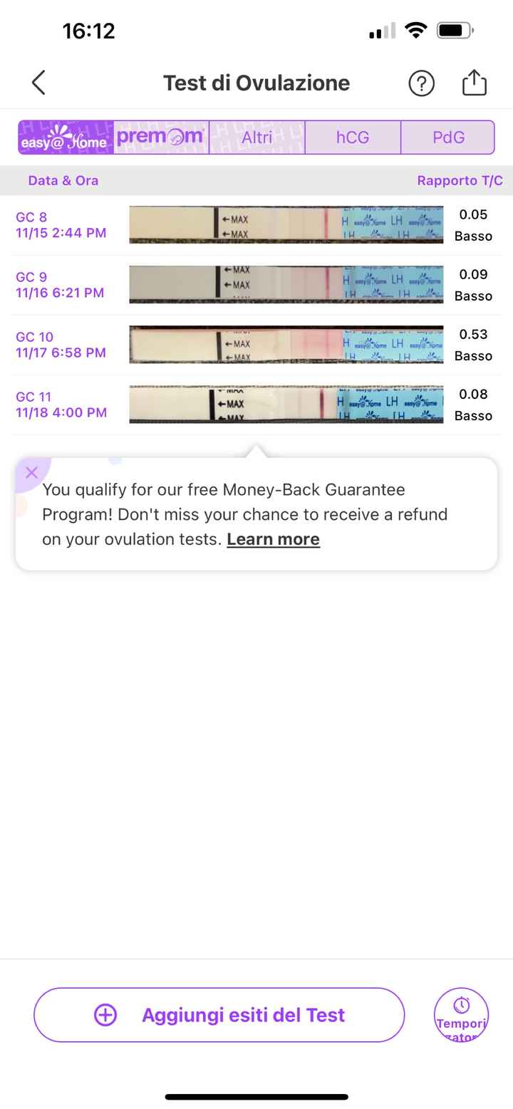 Info stick canadesi - 1