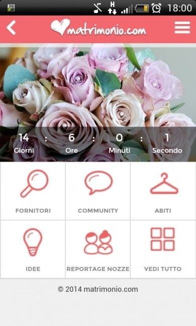Quanto manca alle vostre nozze??? - 1
