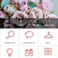 Quanto manca alle vostre nozze??? - 1