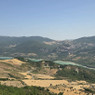 Samuele