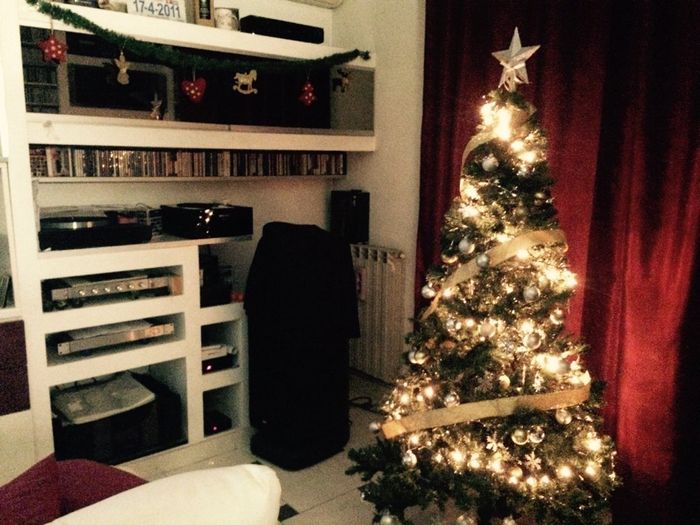 It's christmas time! mi fate vedere i vostri alberelli? - 1